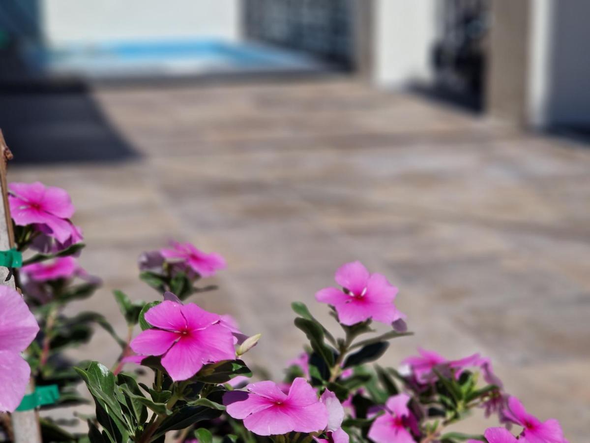 Del Parque Flats Balneario De Pina Villa Малага Екстериор снимка